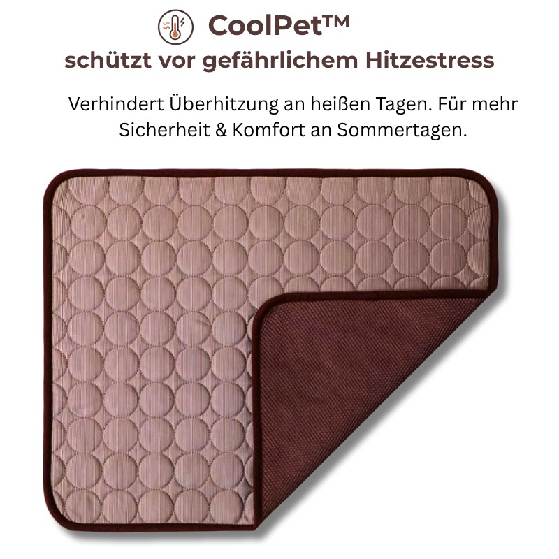 CoolPet™ – die selbstkühlende Matte für Hunde & Katzen