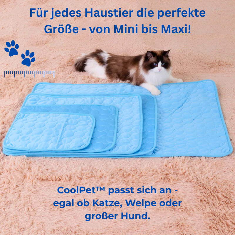 CoolPet™ – die selbstkühlende Matte für Hunde & Katzen