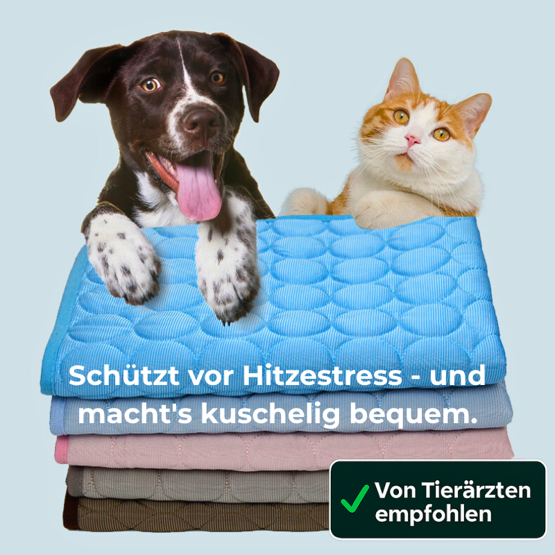CoolPet™ – die selbstkühlende Matte für Hunde & Katzen