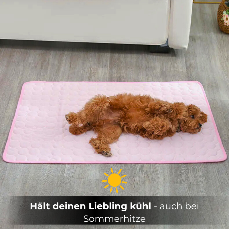 CoolPet™ – die selbstkühlende Matte für Hunde & Katzen