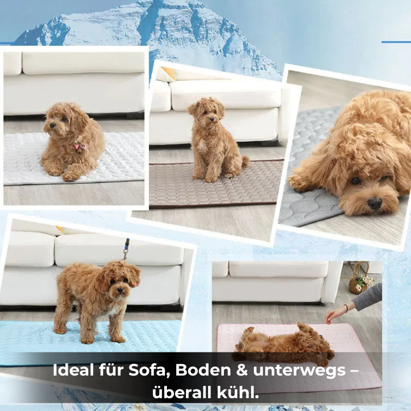 CoolPet™ – die selbstkühlende Matte für Hunde & Katzen