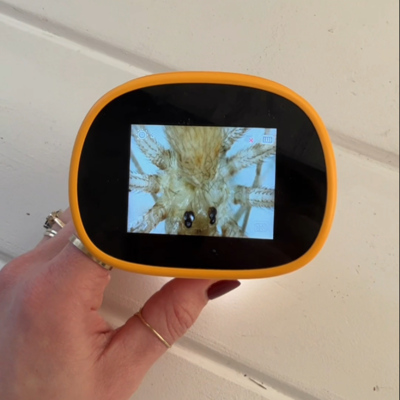 PuleniScope™ - Neue Perspektiven für kleine Entdecker