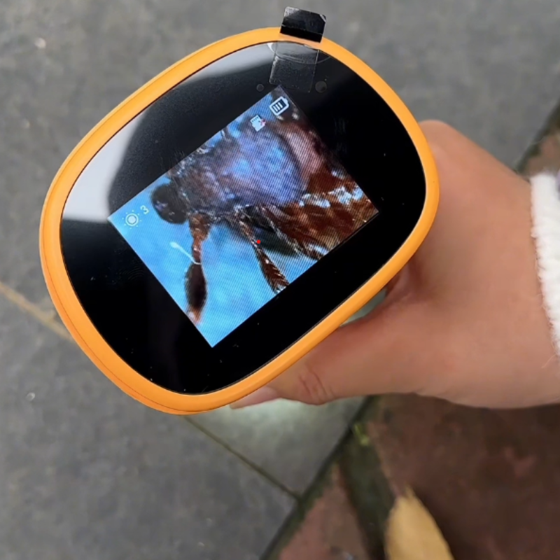 PuleniScope™ - Neue Perspektiven für kleine Entdecker